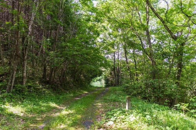 岡山県にある山頂の公園で発見した看板 うっかりミスが生んだ「謎の言葉」にさまざまな反響