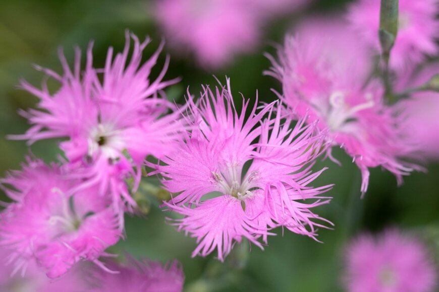 yoshi0511/shutterstock.com