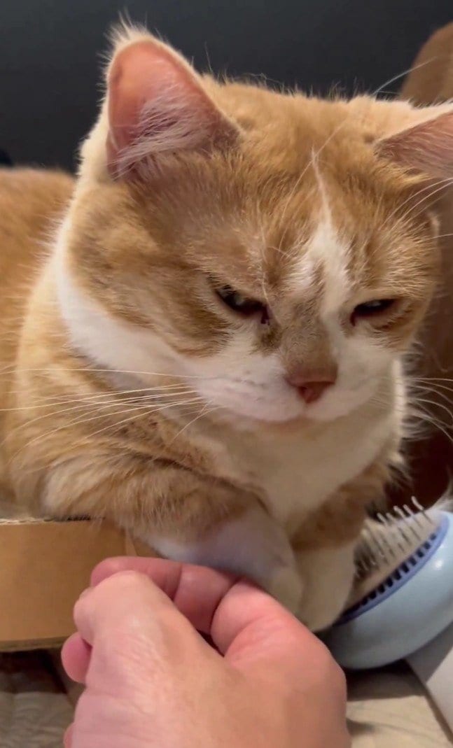 出所：@kotaro_0315