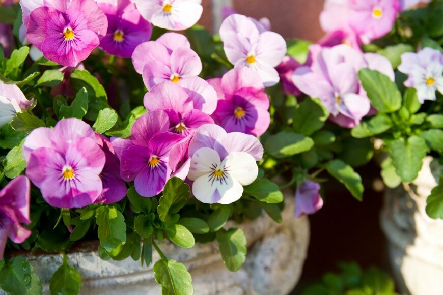 Elisabeth Schittenhelm/istockphoto.com