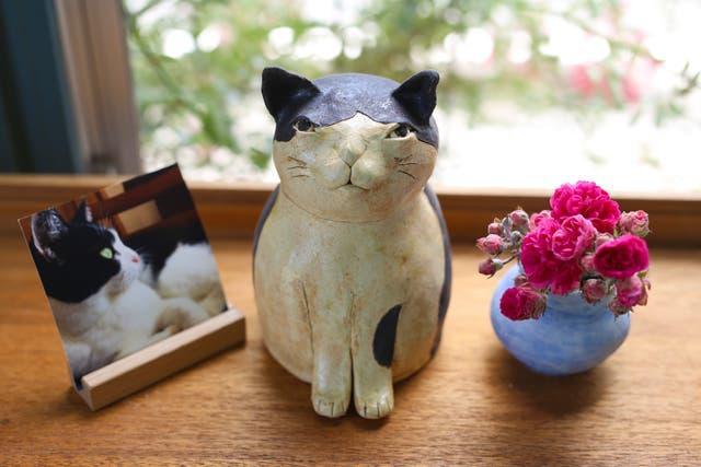 出所：マクアケ「愛猫の面影を宿す、世界で一つのオーダーメイド「ねこ骨壺」」