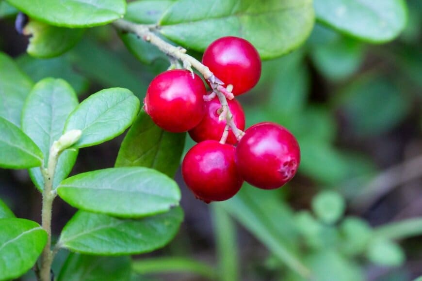 Anna Nelidova/istockphoto.com