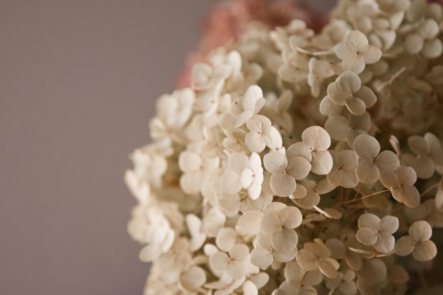 Marketa Bement/shutterstock.com