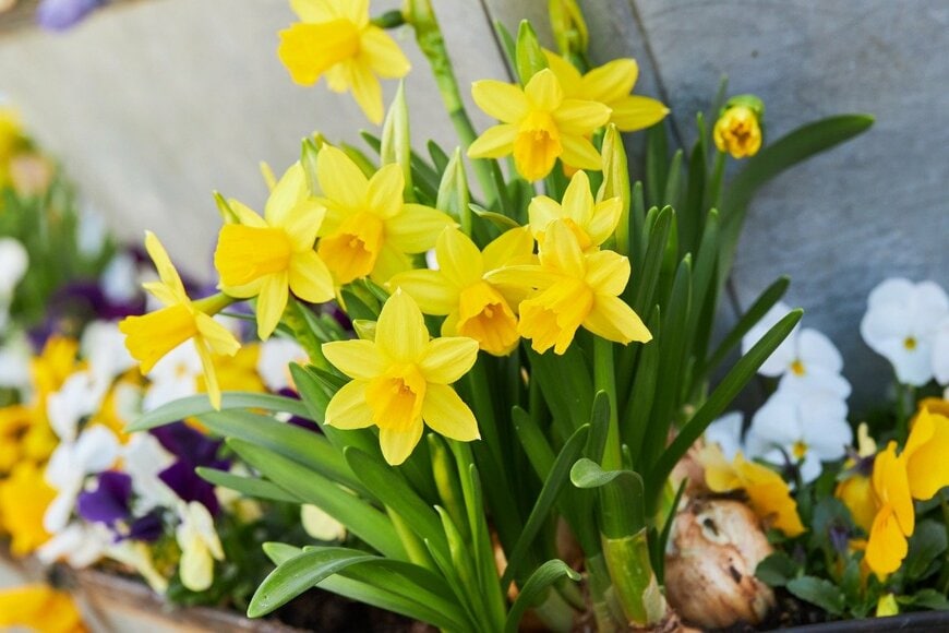 Liudmyla Liudmyla/istockphoto.com