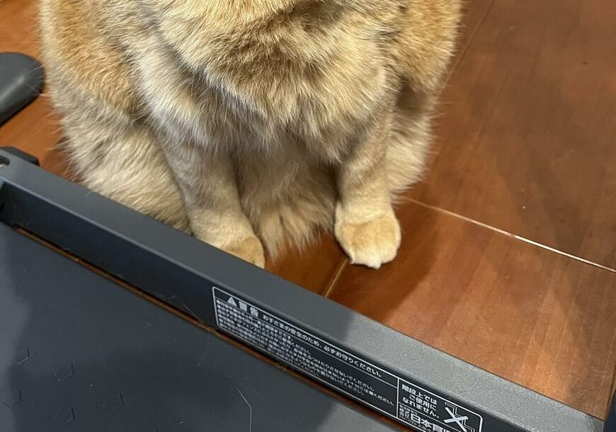 出所：@kagisuzu0531