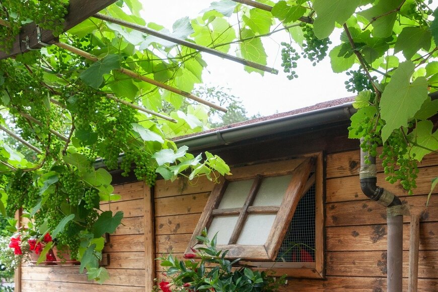 Zummolo/istockphoto.com