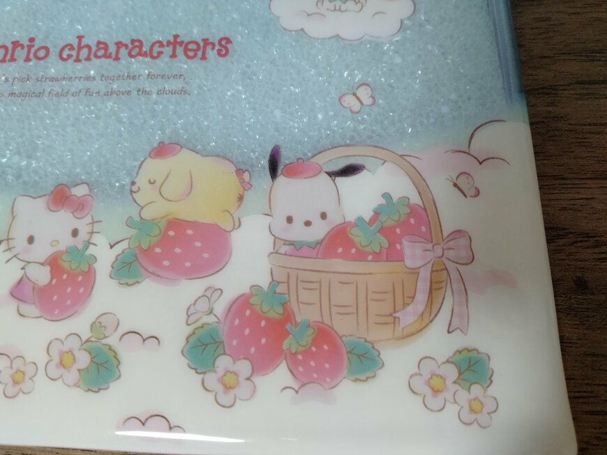 筆者撮影（セリア、フラットポーチ M/X いちご　27217）