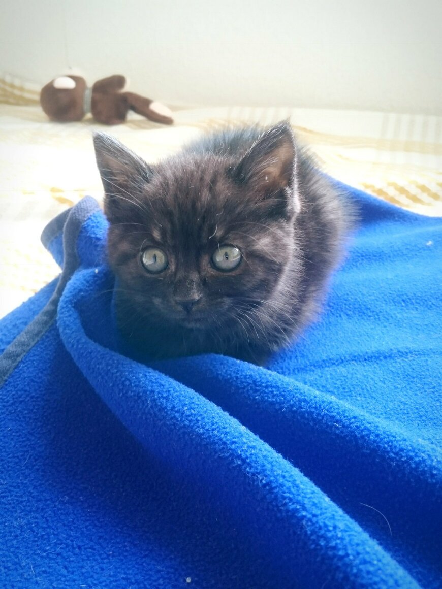 出所：@8rjXhLaRHFwK9l2