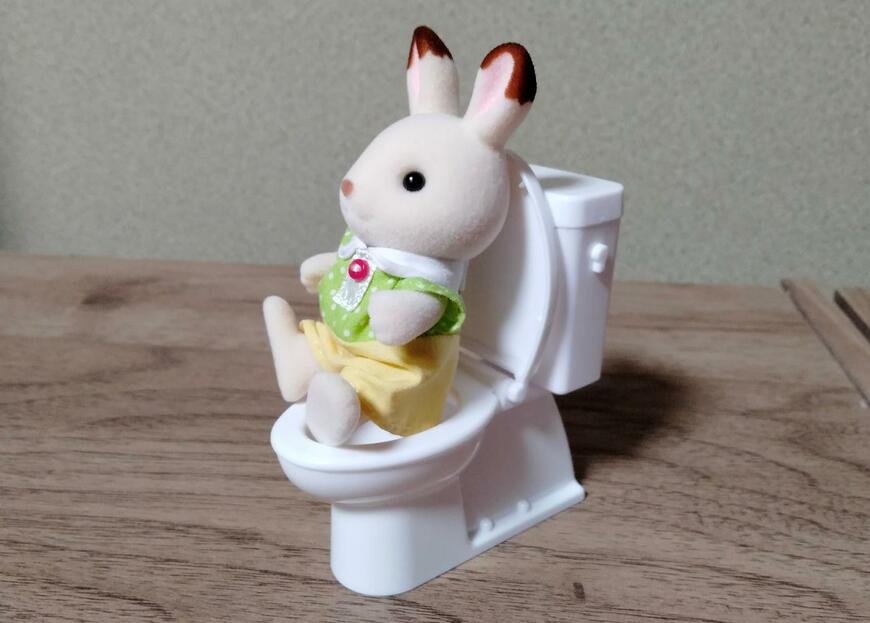 筆者撮影（セリア、ミニチュア 洋式トイレ）