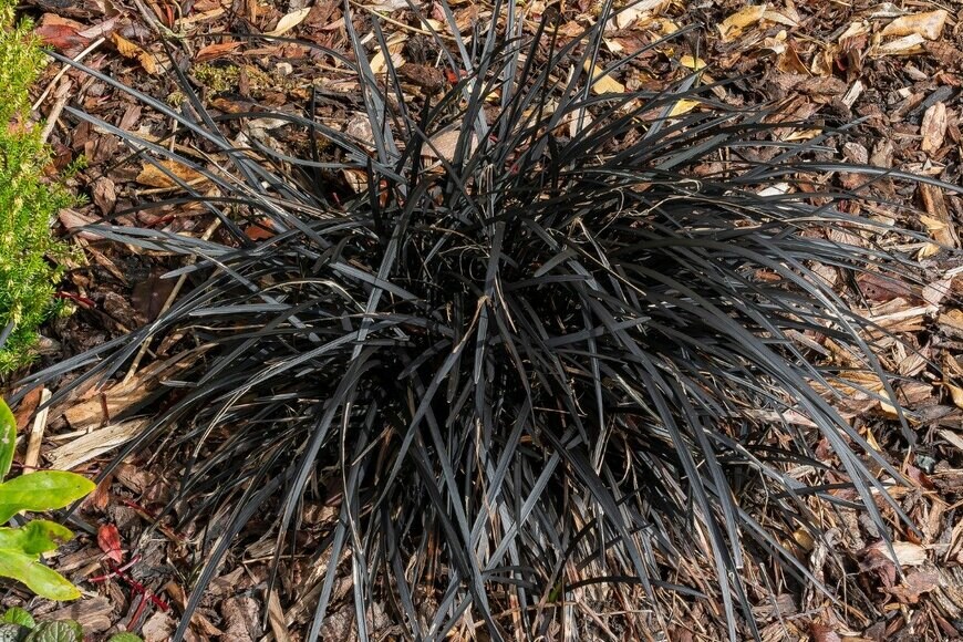 TonyBaggett/istockphoto.com