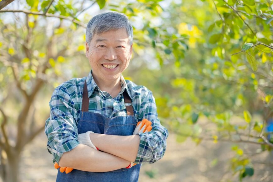 【70歳代・おひとりさま世帯】貯蓄の中央値は475万円「平均貯蓄額」はいくら？70歳以降も働く人は増加傾向に