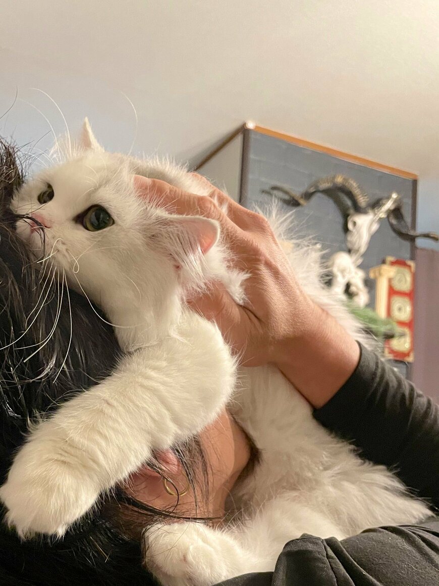 出所：@NEKOLAND13