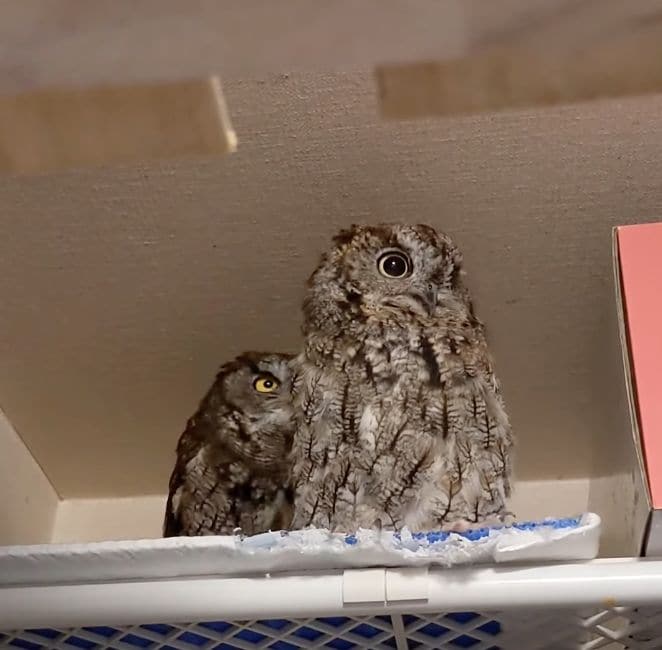 投稿動画のワンシーン