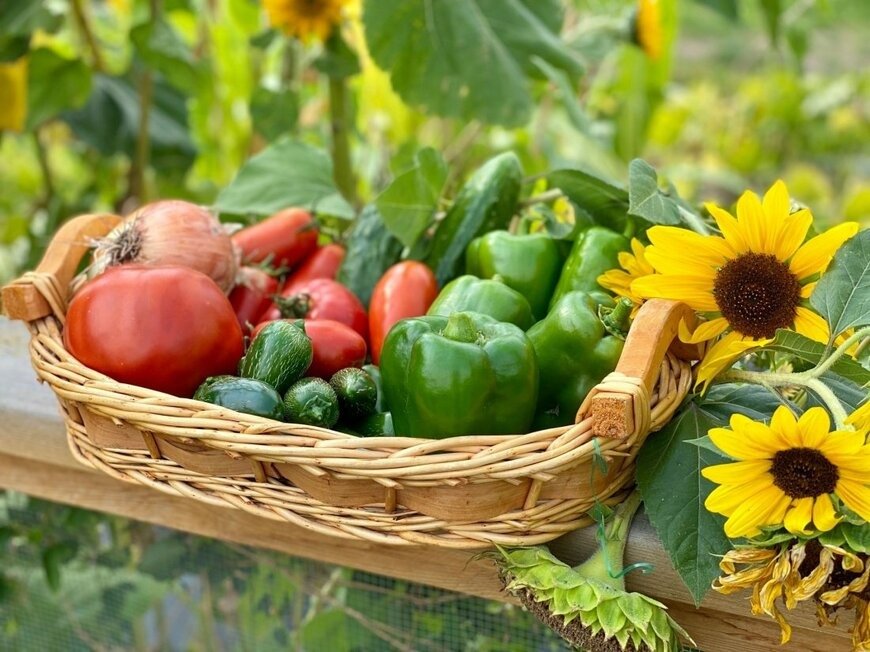 一番人気の野菜はトマト！