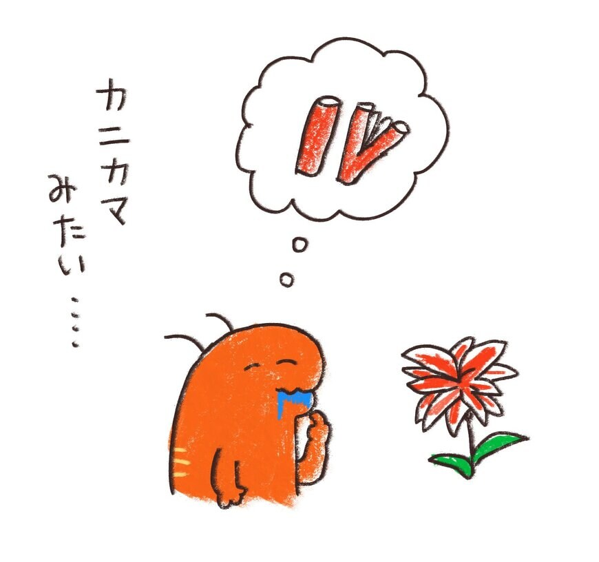 “カニカマアマリリス”発見時のイラスト