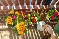 【ガーデニング】いよいよ春到来、今年こそベランダガーデニングを楽しもう！方法＆注意点