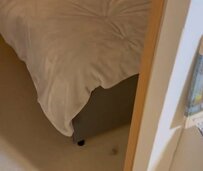 毛玉ボールが落ちた部屋に、猫の足跡…？追ってみた結果、尊い光景に悶絶！