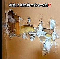 【築古汚部屋DIY】大きな穴の開いた押入れの壁を断熱材と合板で補強！きれいな仕上がりに注目