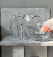 万が一落としても割れる心配が少ない。セリアのスクアグラスとスクアボウルを活用し、プラスチック製で軽いコンポート皿を10秒で構築するリメイクプロセス