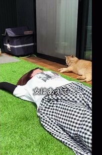 野良猫のために日陰のテラスをDIY！ 溶接までこなした本格的な屋根に「素敵なご夫婦」の声