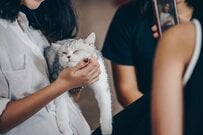 結局「動物カフェ」で癒されてるのは人間だけ!?