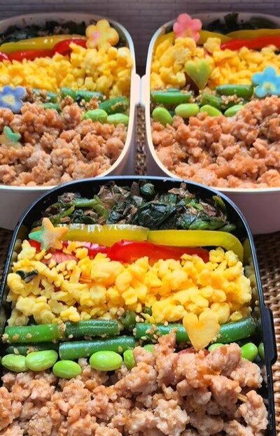 一見すると、普通のそぼろ弁当？