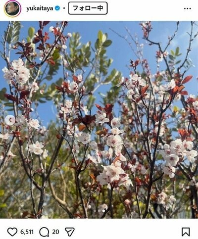 板谷由夏のInstagram投稿