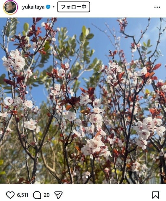 出所：板谷由夏のInstagram（＠yukaitaya） 参照日：2026年3月27日