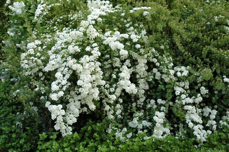 Natalia Baran/Shutterstock.com