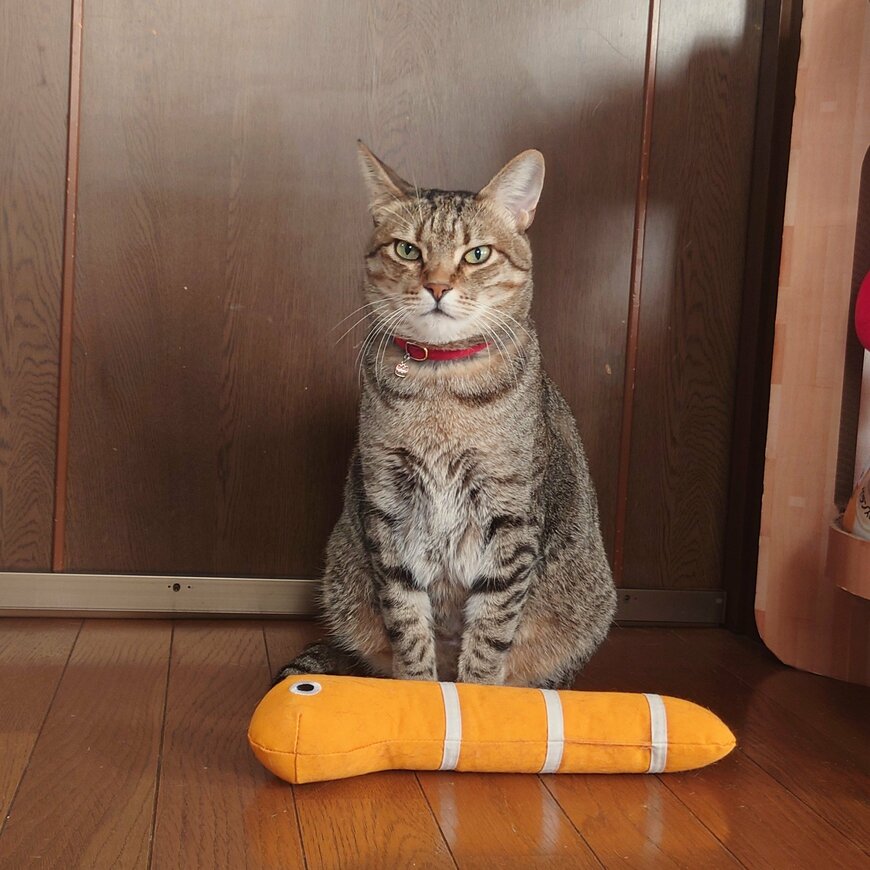 出所：@Mh0MLiErcV8E97C