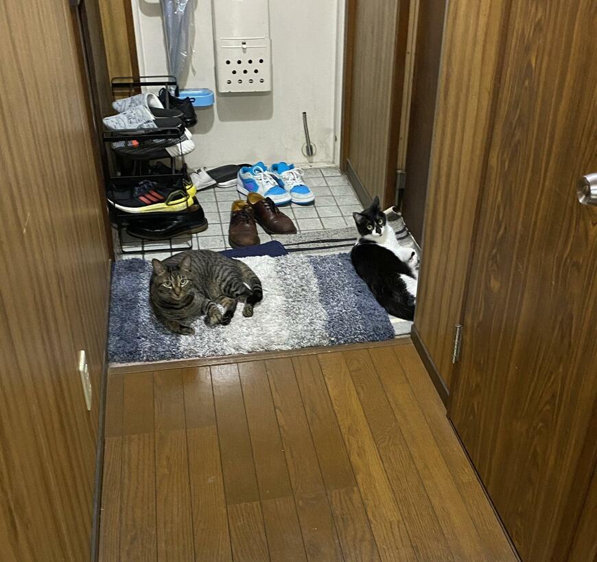 出所：@00shitemita