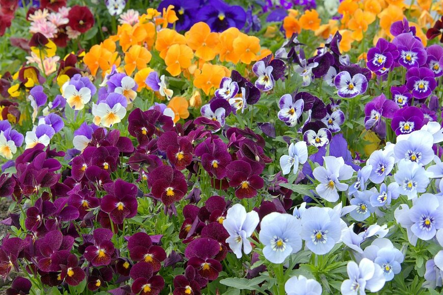 Christynat/shutterstock.com