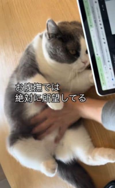 出所：@creo101creo