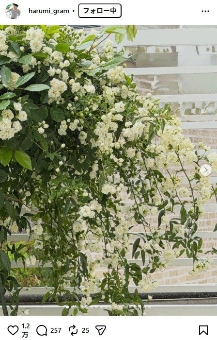 出所：栗原はるみのInstagram（＠harumi_gram）　参照日：2026年4月16日