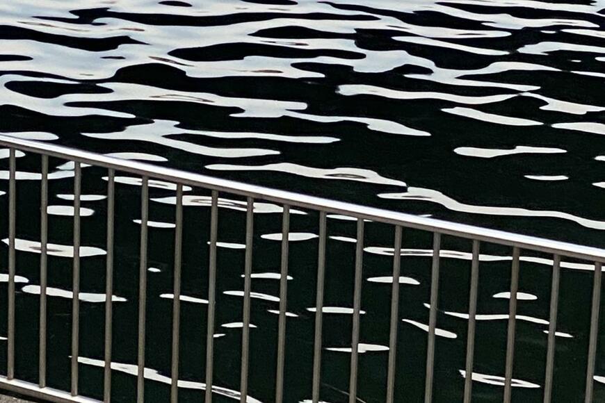 まるで版画や水墨画のよう　どう見ても「絵にしか見えない」写真に11万いいね
