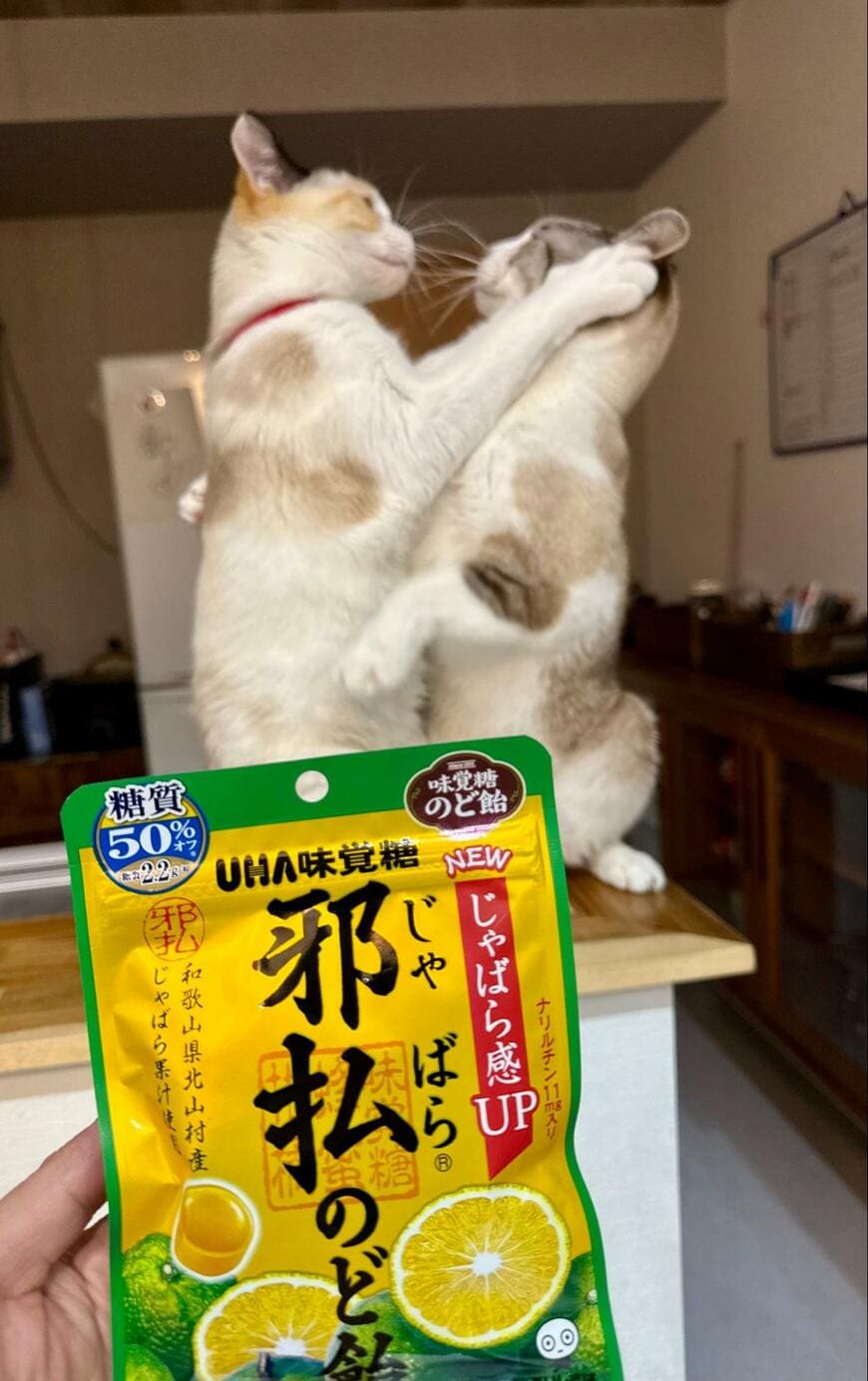 出所：@omochi_nam01