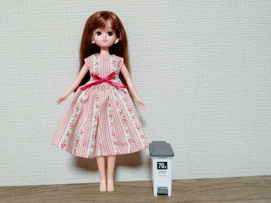 筆者撮影（セリア、ミニチュア ペダルペール）