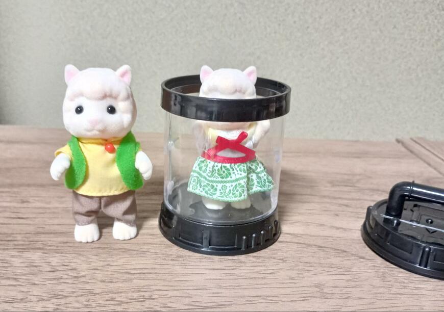 筆者撮影（セリア、ラボポッド型ディスプレイケース）