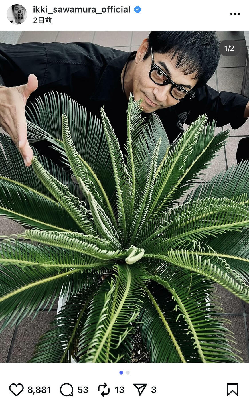 出所：沢村一樹のInstagram（＠ikki_sawamura_official） 参照日：2025年10月27日