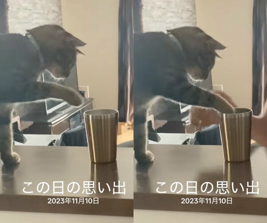 出所：@sorakai0905