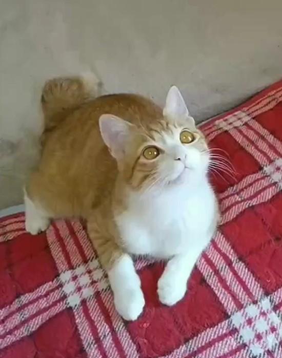 出所：@mero627puri914