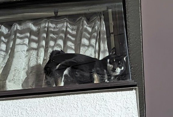 出所：@BLshiba_tensuke