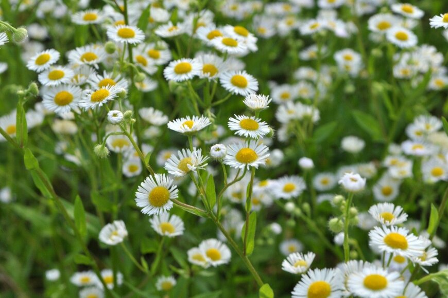 Orest Lyzhechka/istockphoto.com