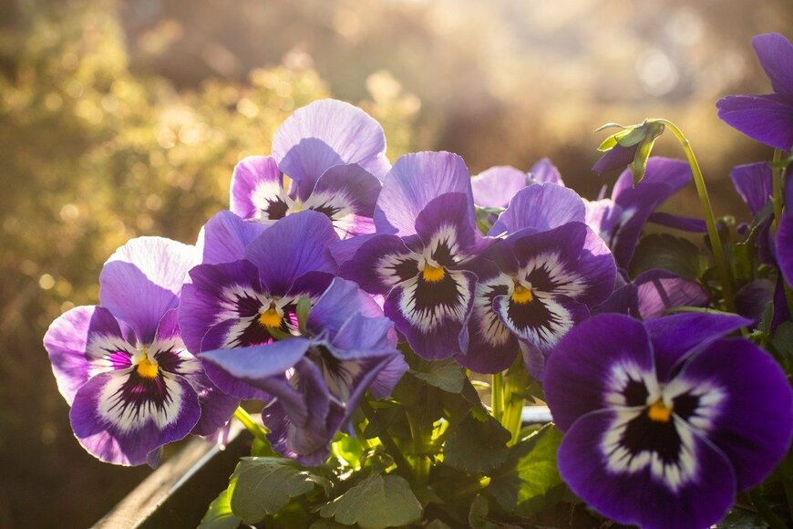 Iwona Wozniak/istockphoto.com