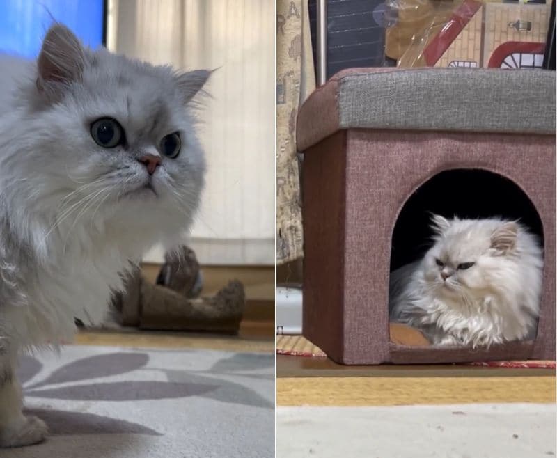 出所：@cr8673.hiro