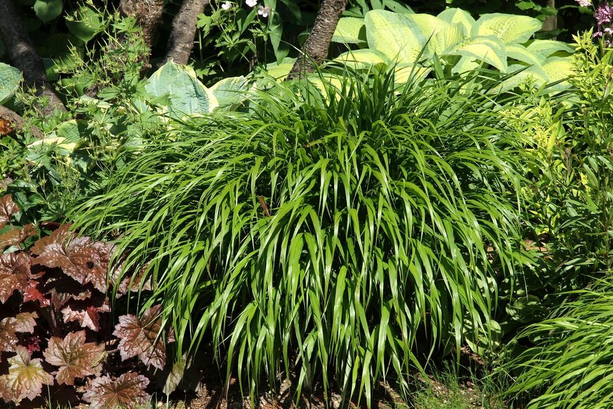 Bildagentur Zoonar GmbH/Shutterstock.com