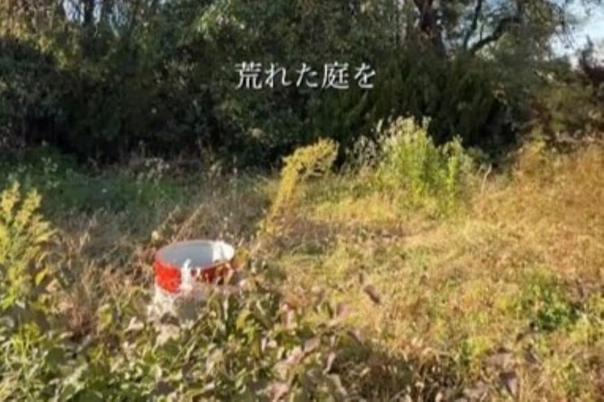 「心折れないのが凄い」荒れ放題の築30年戸建の裏庭　「平らな更地」に大変身