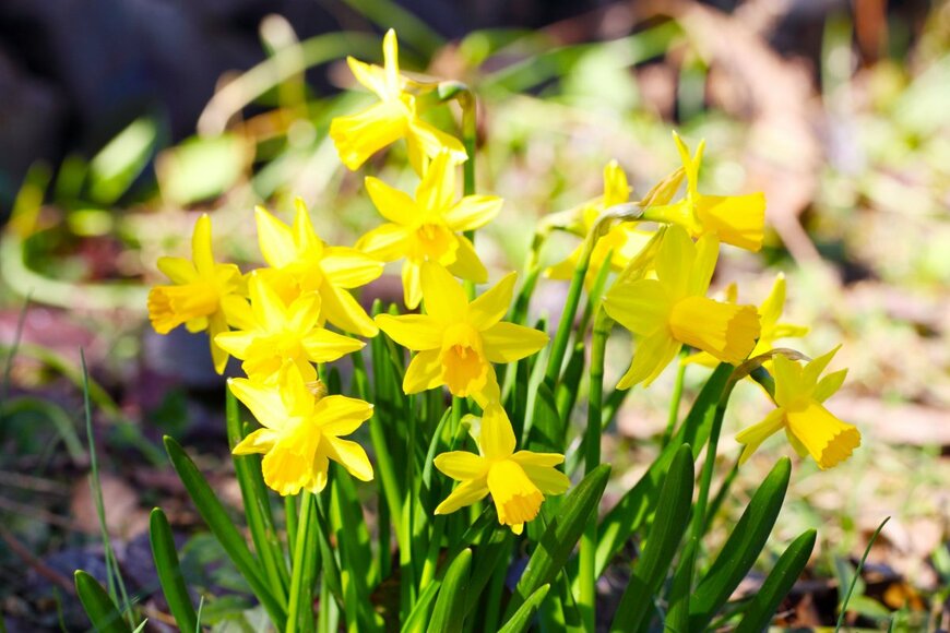 fotoknips/shutterstock.com