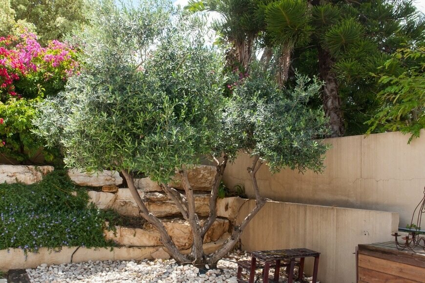 RonyZmiri/istockphoto.com