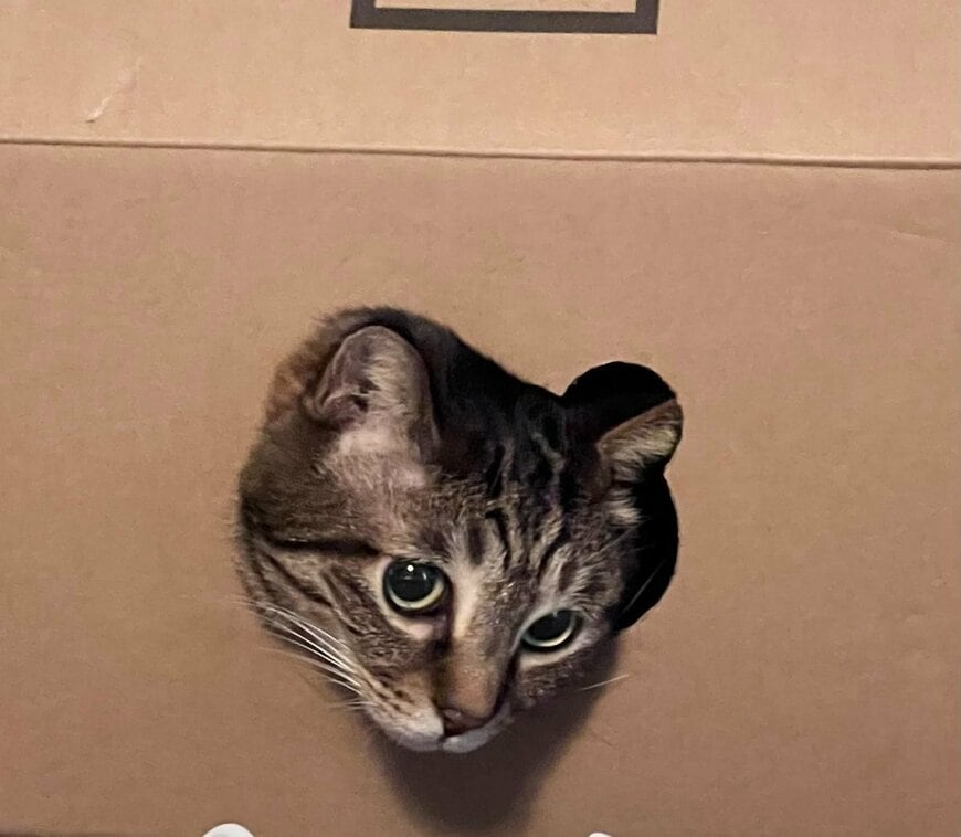 出所：@Shooster02Radio